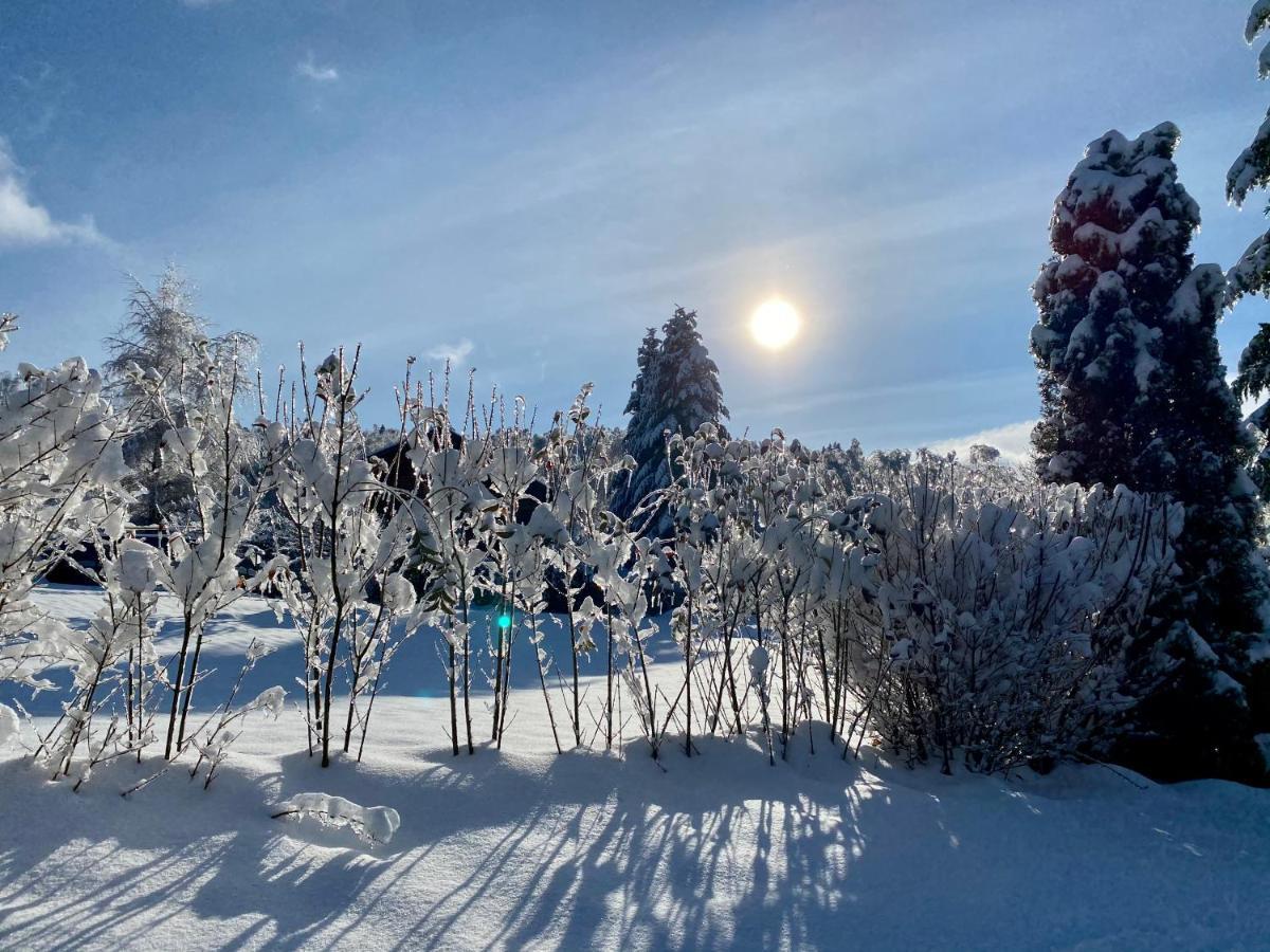 Le Hygge Chalet Gerardmer-Spa Anould Buitenkant foto